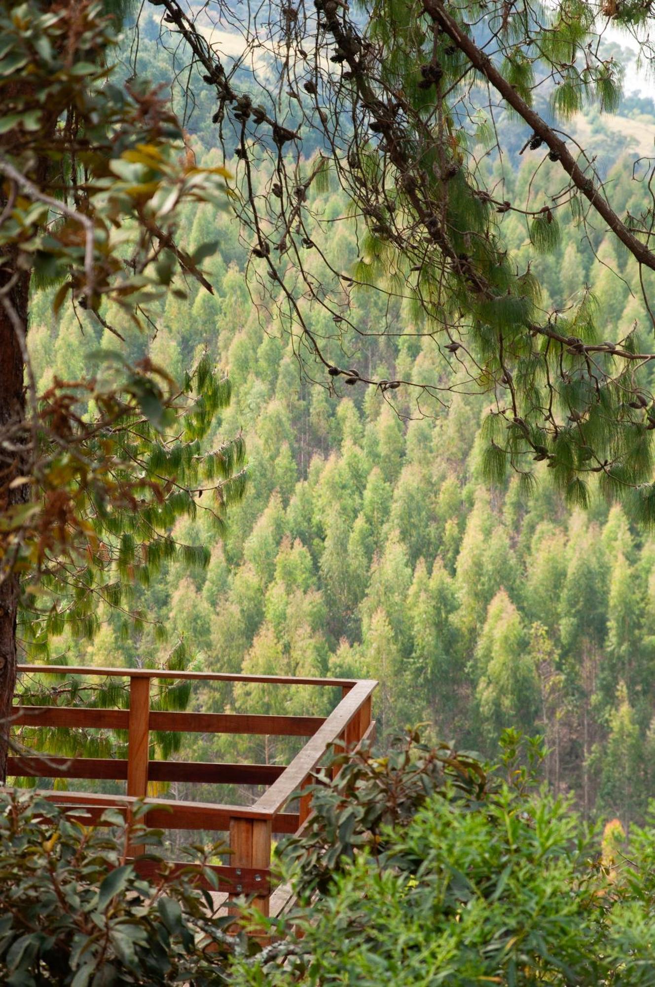 Pousada Recanto Do Saua - Monte Verde Monte Verde  Ngoại thất bức ảnh